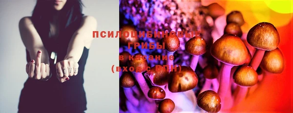 эйфоретик Осинники