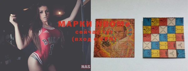 индика Валдай