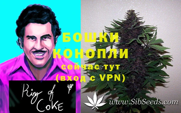 меф Осташков