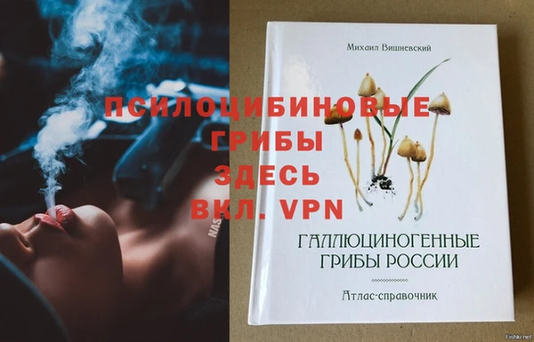 гашик Галич