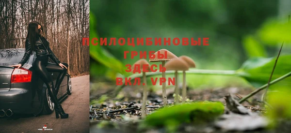 гашик Гвардейск