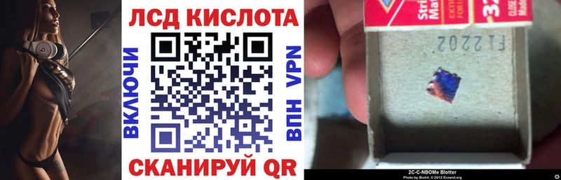 где найти   Лебедянь  Марки N-bome 1500мкг 