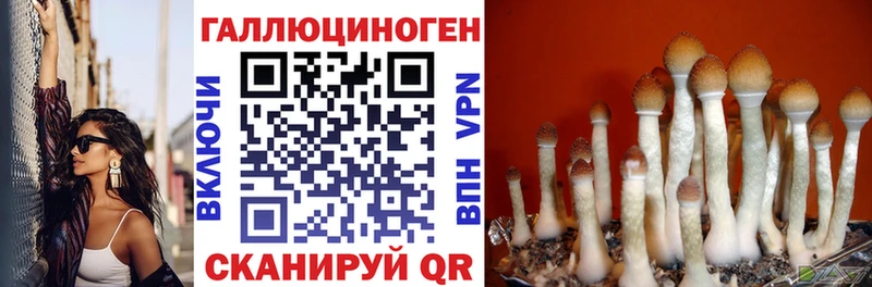 Псилоцибиновые грибы Cubensis  Лебедянь 